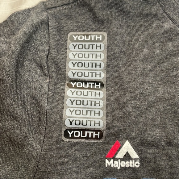 Red Sox Boston Baseball 2018 Champions - Gray Short Sleeve - World Series Winner - Picture 2 of 4